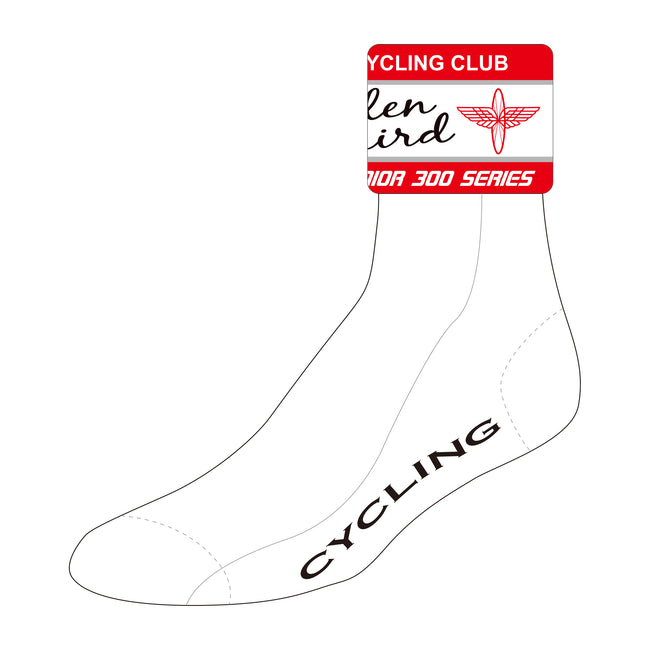 Kilkenny SILVER Cycling Socks, Memorial Junior Design